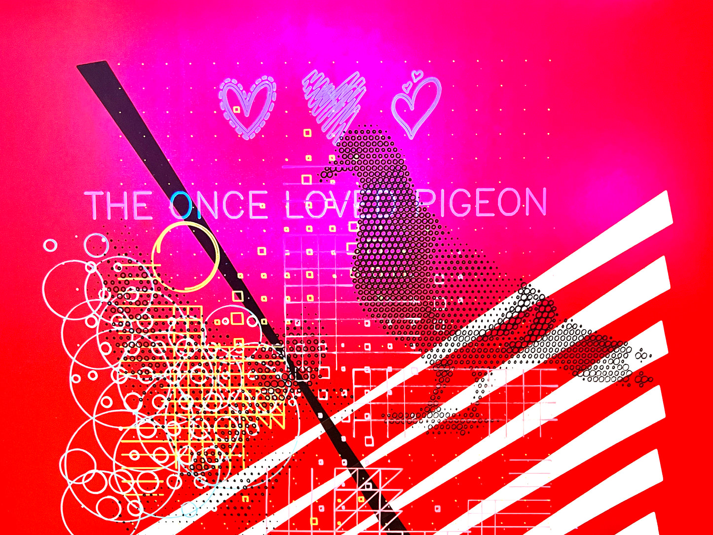 The once loved Pigeon
