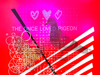 The once loved Pigeon