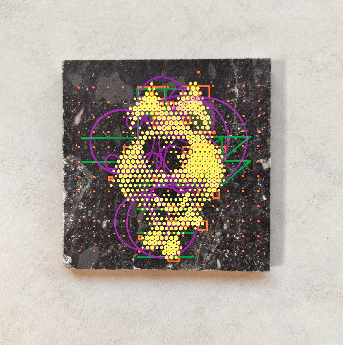 Beg dog