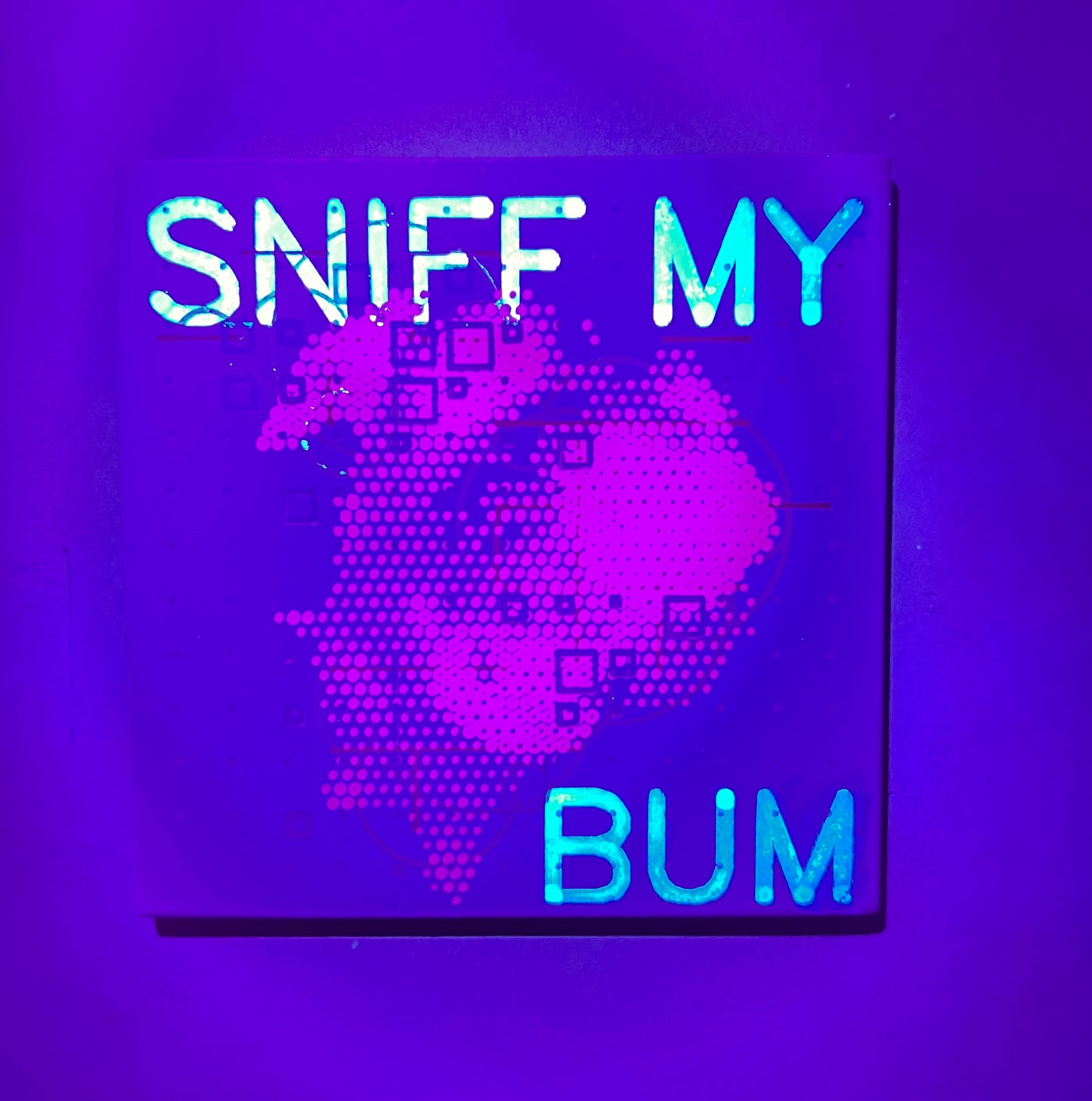 Sniff